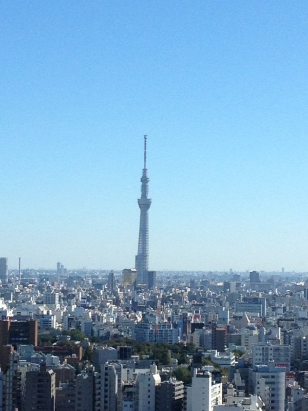 f:id:cafo:20121117235316j:image:w360