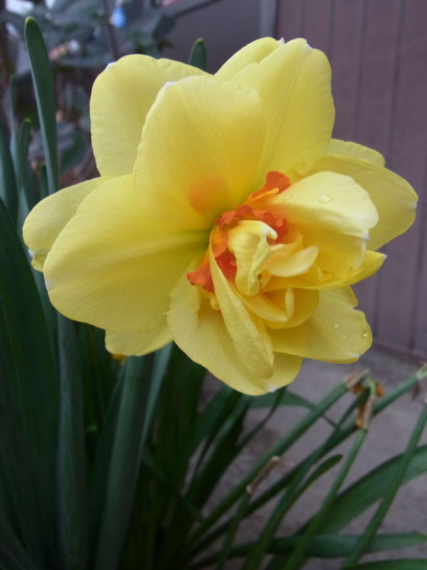 f:id:cagiva6611:20120410181817j:image
