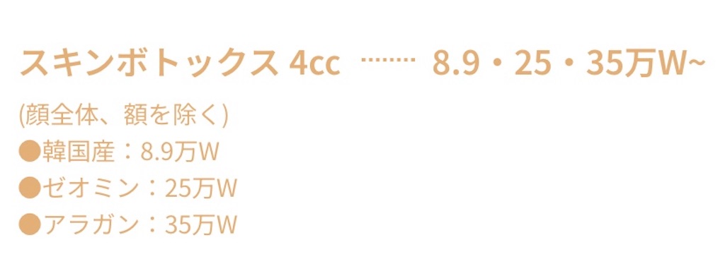 f:id:caiconic:20230604180121j:image