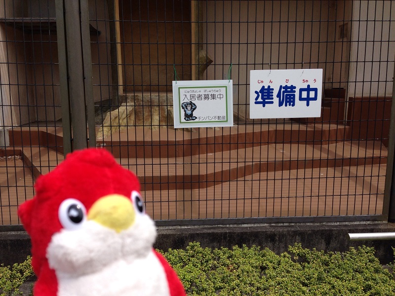 f:id:caimedia-staff:20160506132712j:plain