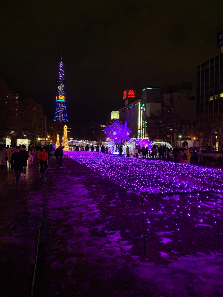 f:id:cairn3783:20210318132645j:image