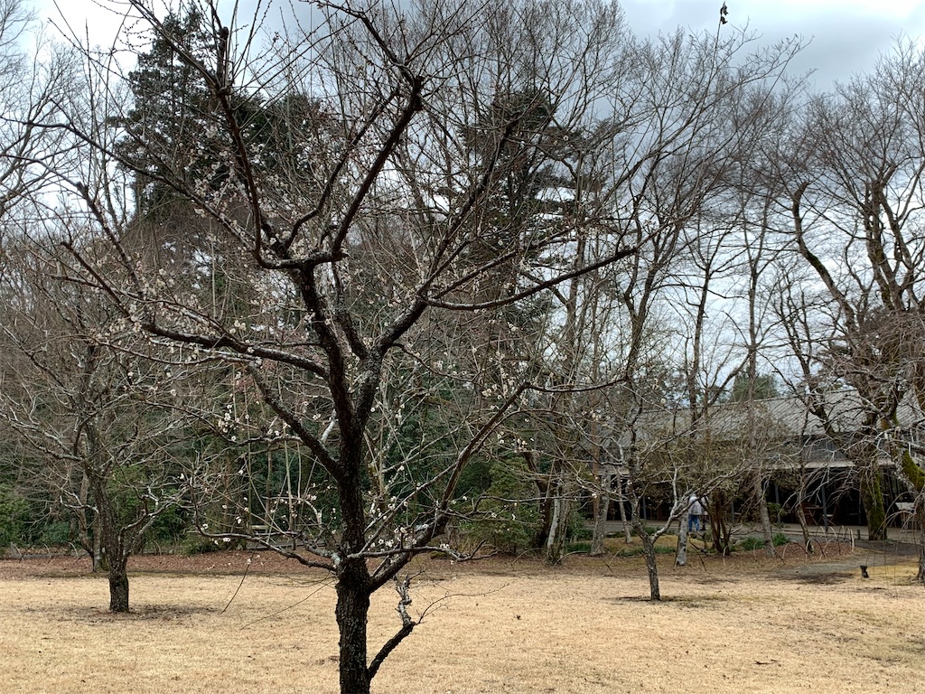 f:id:cairn3783:20230118211930j:image f:id:cairn3783:20230118211930j:image
