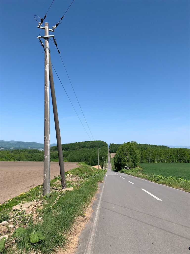 f:id:cairn3783:20230526192938j:image f:id:cairn3783:20230526192938j:image