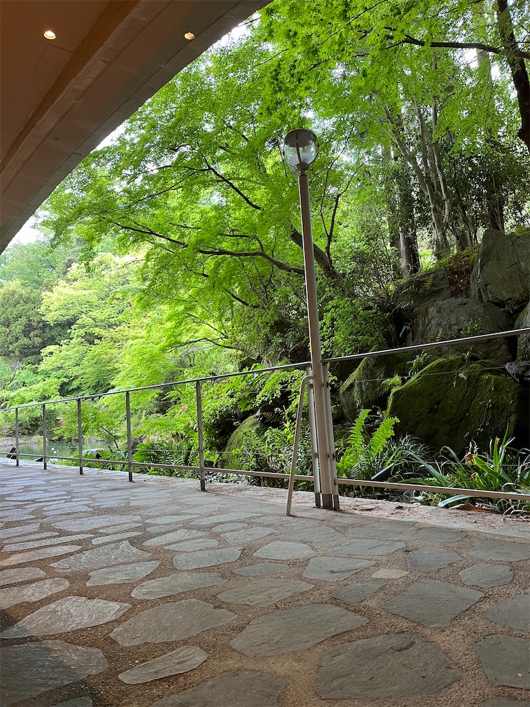 f:id:cairn3783:20240605181035j:image