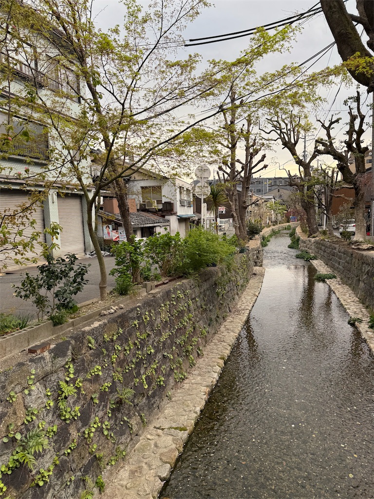 f:id:cairn3783:20250415154105j:image