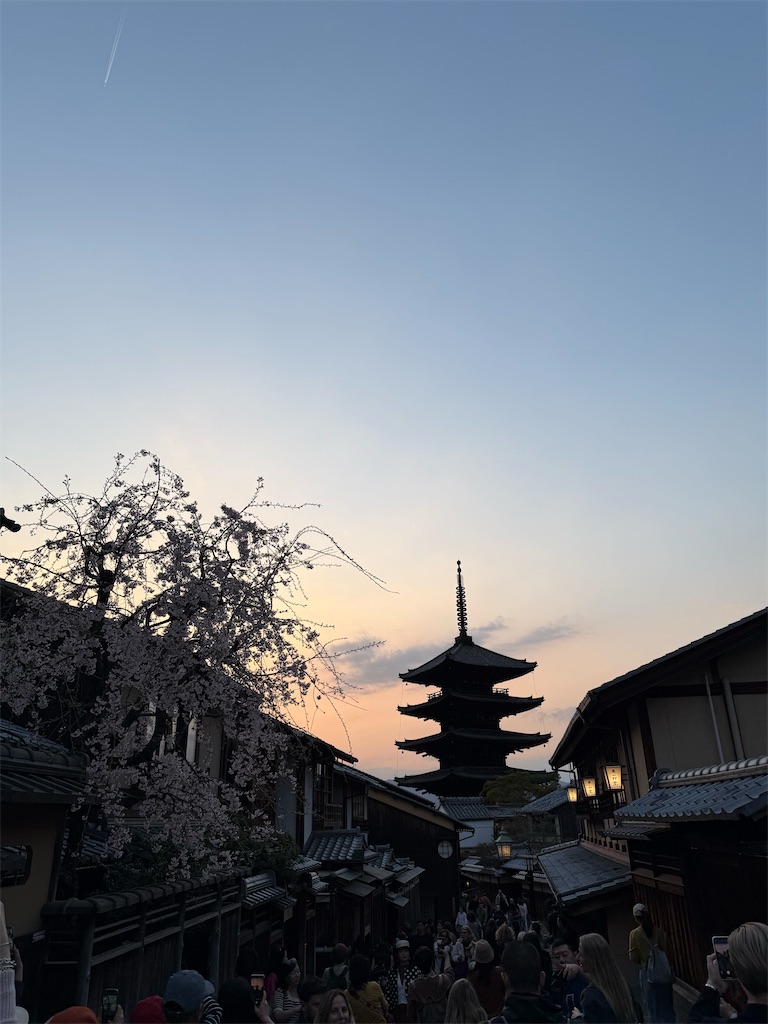 f:id:cairn3783:20250415154245j:image