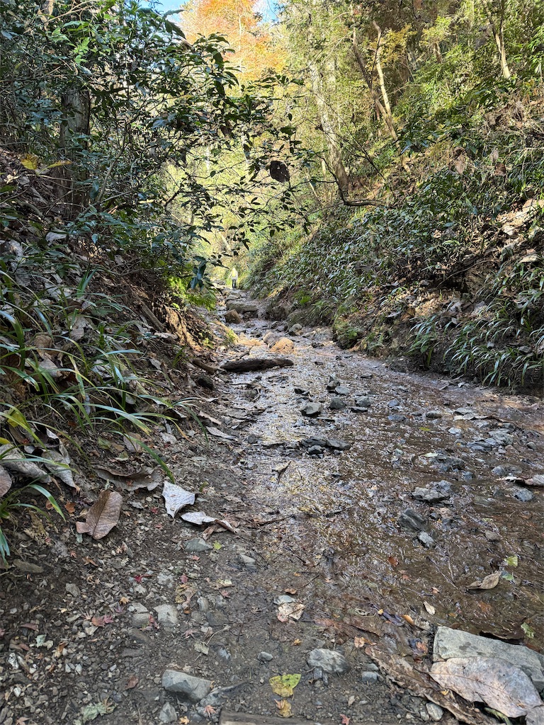f:id:cairn3783:20251223180855j:image