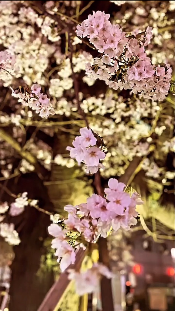 f:id:cakeshoney:20220329001129j:image