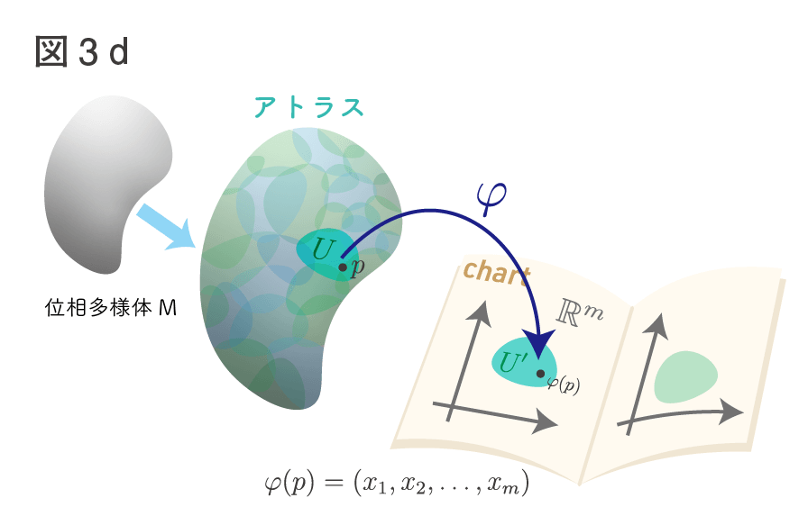 ゆるふわリー群論入門（3）多様体 - 何だって、したしむ