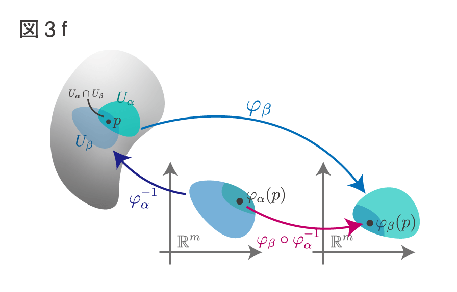 ゆるふわリー群論入門（3）多様体 - 何だって、したしむ
