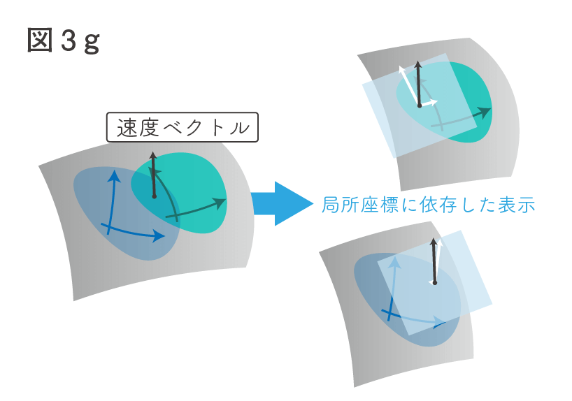 ゆるふわリー群論入門（3）多様体 - 何だって、したしむ