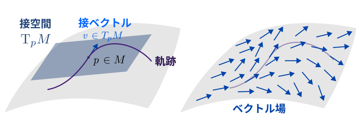 オトナの熱力学入門①：熱力学第一法則のための微分幾何 - 何