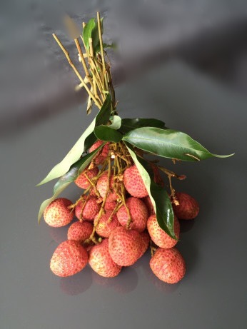 f:id:calamarie:20170603180803j:plain f:id:calamarie:20170603180803j:plain