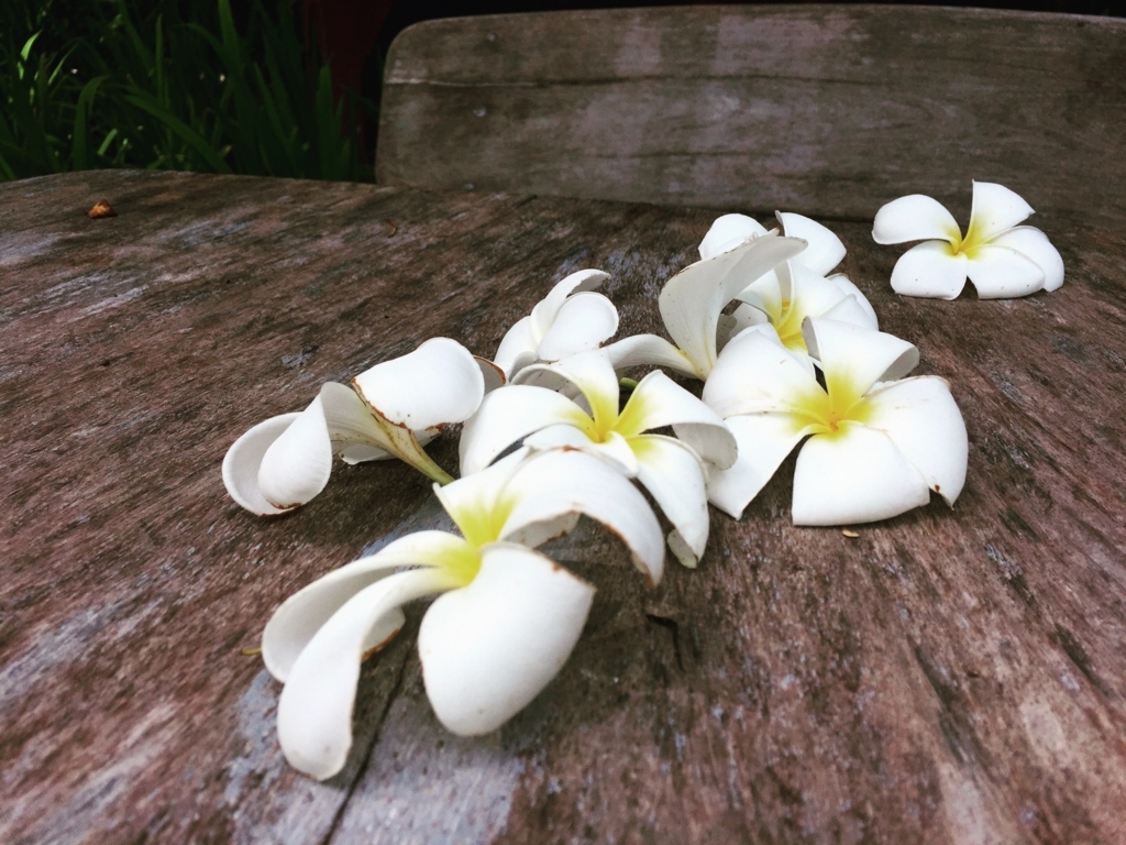 KARMAKAMET カルマカメットソリッド・パフューム 練り香水 バンブー