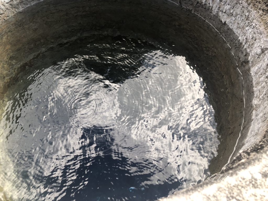 f:id:calamarie:20190306165350j:plain f:id:calamarie:20190306165350j:plain