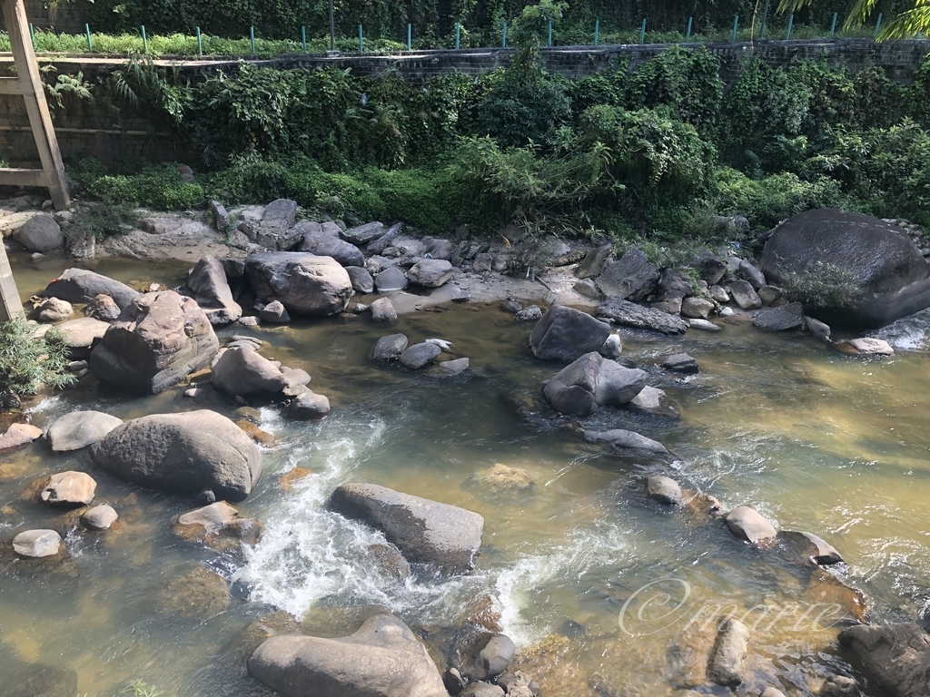f:id:calamarie:20190306165419j:plain f:id:calamarie:20190306165419j:plain