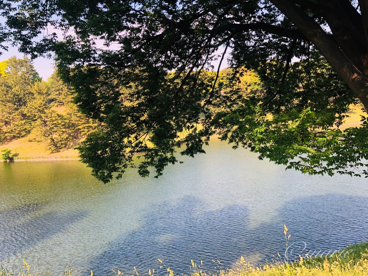 f:id:calamarie:20190805142407j:plain f:id:calamarie:20190805142407j:plain