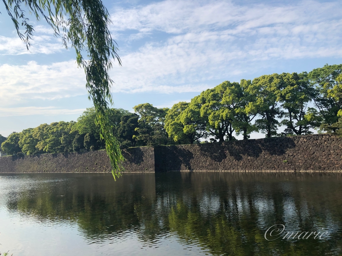 f:id:calamarie:20190805142422j:plain f:id:calamarie:20190805142422j:plain