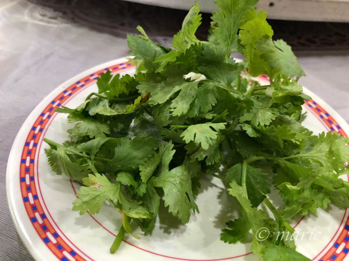 f:id:calamarie:20191009175553j:plain f:id:calamarie:20191009175553j:plain