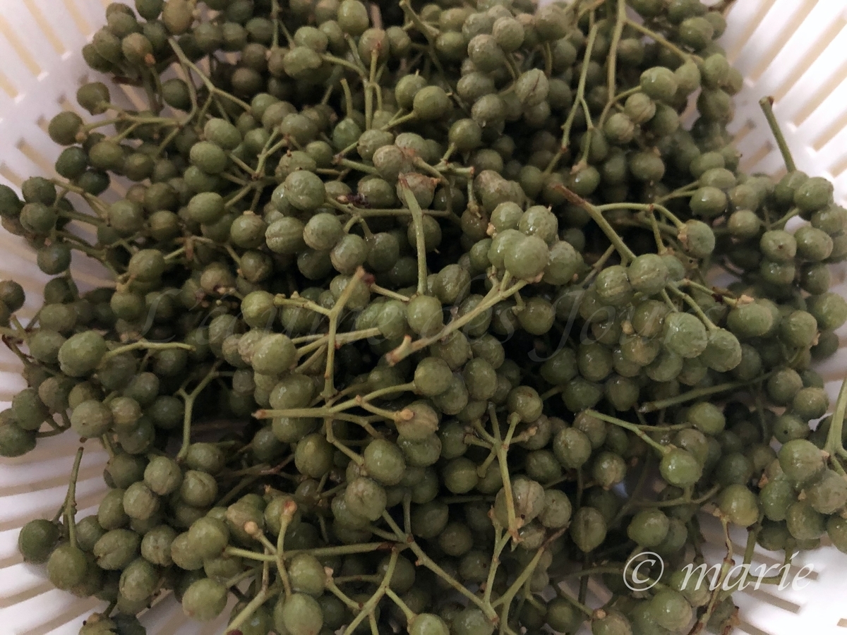 f:id:calamarie:20200630125319j:plain f:id:calamarie:20200630125319j:plain