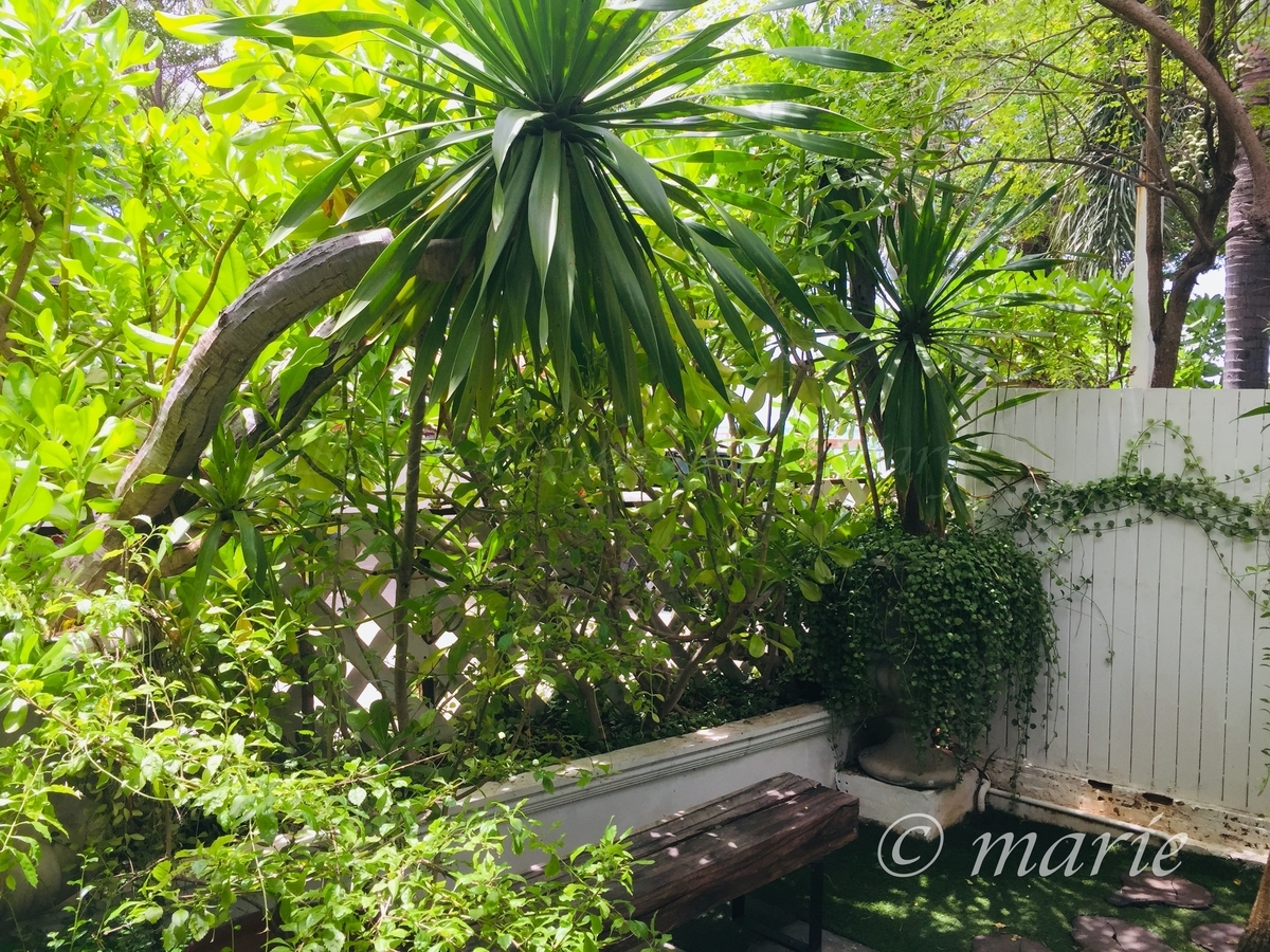 f:id:calamarie:20200713131849j:plain