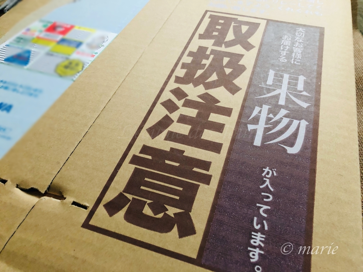 f:id:calamarie:20201104093604j:plain f:id:calamarie:20201104093604j:plain