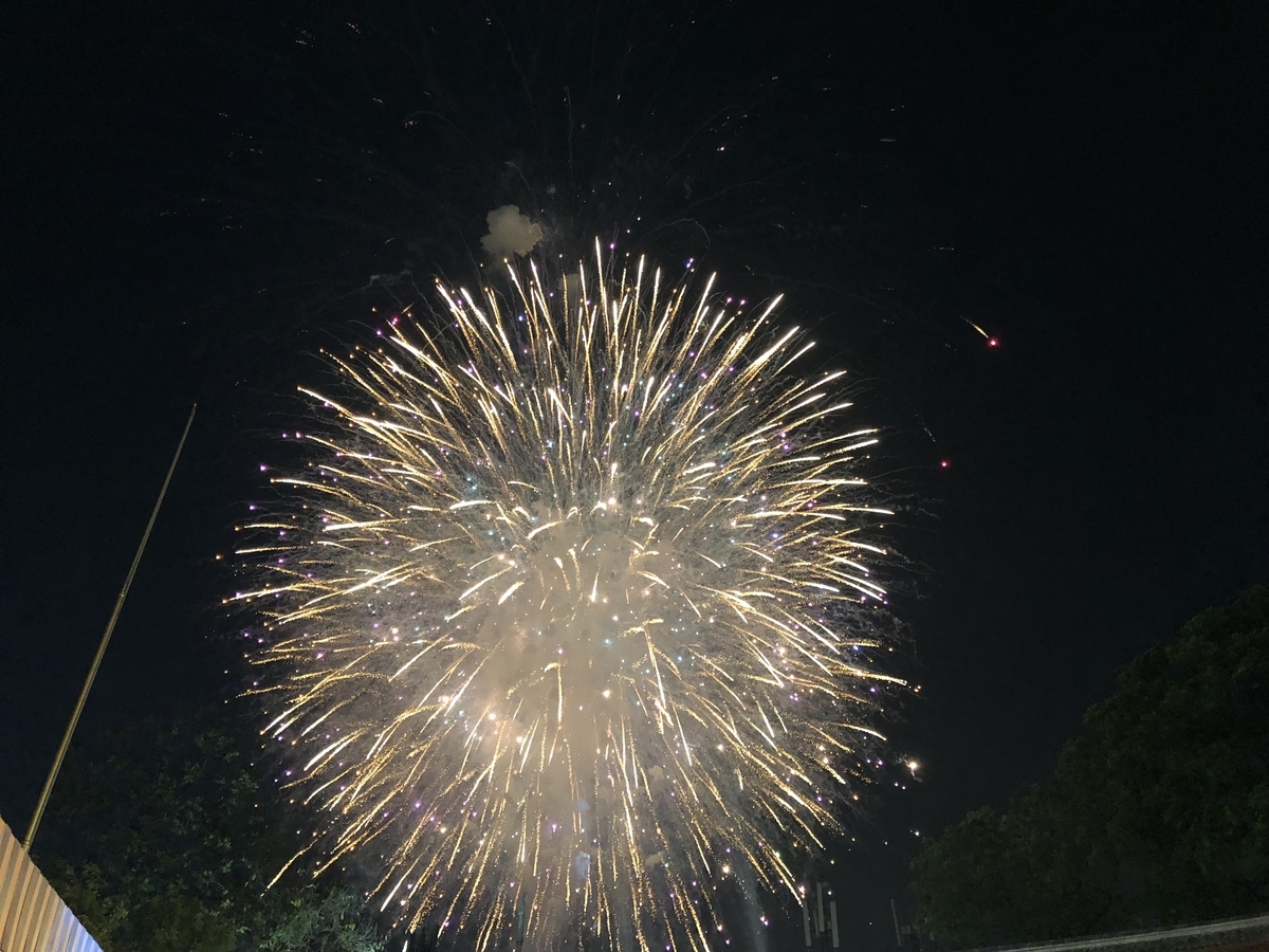 f:id:calamarie:20201110145049j:plain f:id:calamarie:20201110145049j:plain