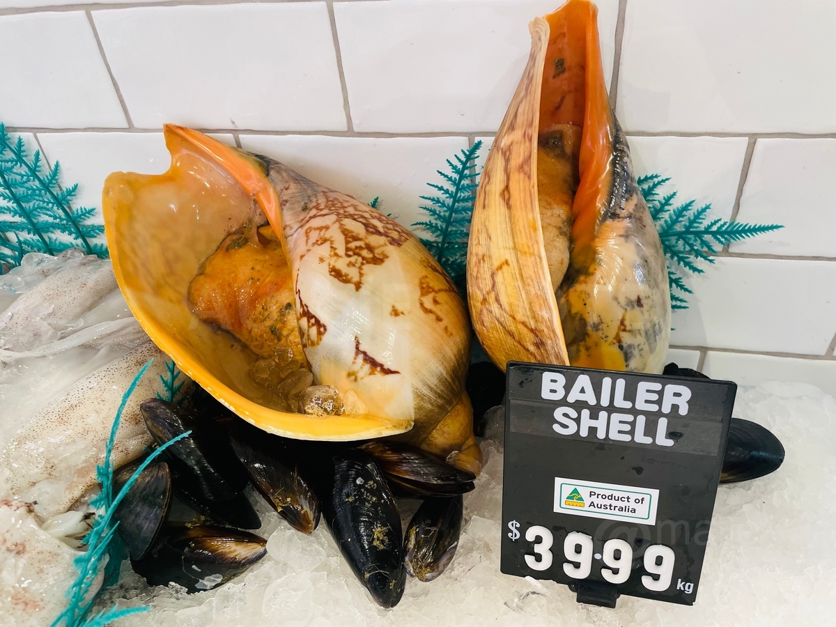 オーストラリア生活日記 スーパーマーケットの魚コーナーで巨大な回と