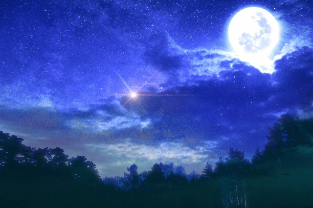 仮想通貨 草コインxp Moonに向けて爆上げ中 今後の上昇要因とは 投資をテコに 人生ハードモードからの脱却