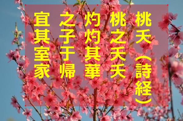 f:id:calenhn:20200520132915j:plain