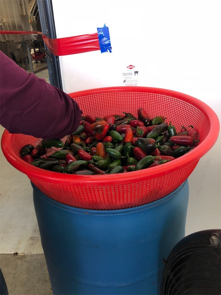 f:id:calibaby:20181002081757j:image