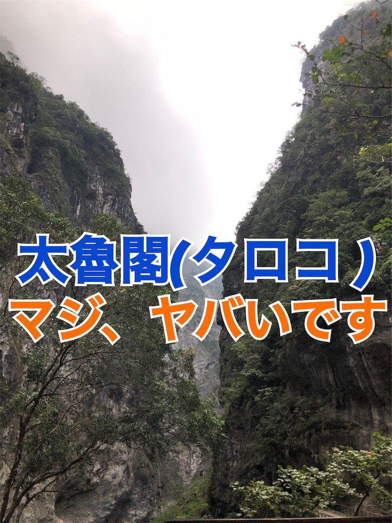 f:id:calibaby:20181126120142j:image