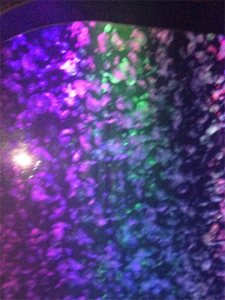 f:id:calico1978:20170116080026j:image