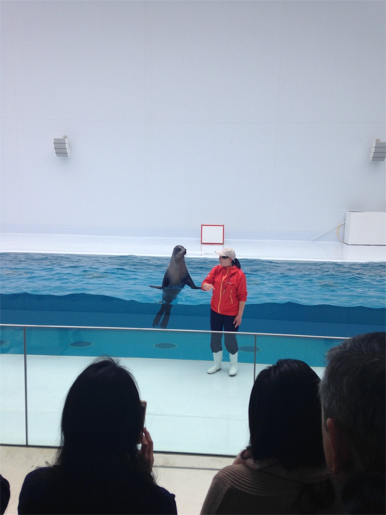 f:id:calico1978:20170116081057j:image