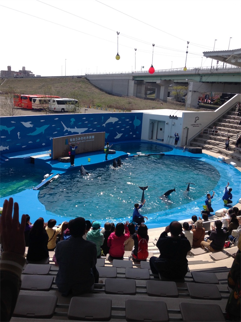 f:id:calico1978:20170121155747j:image f:id:calico1978:20170121155747j:image