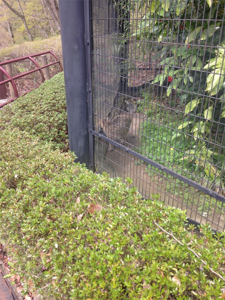 f:id:calico1978:20170127222625j:image