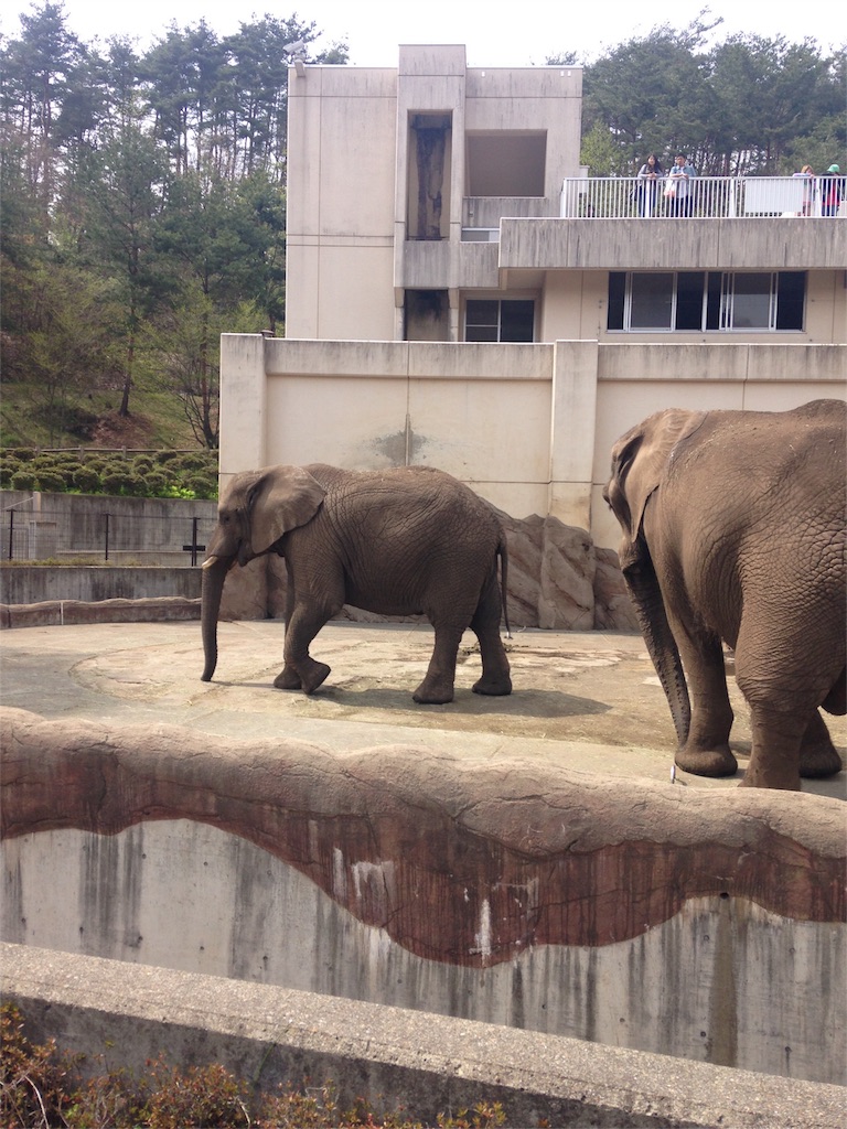 f:id:calico1978:20170127224946j:image