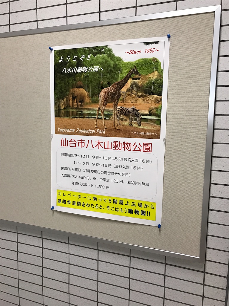 f:id:calico1978:20170412201818j:image