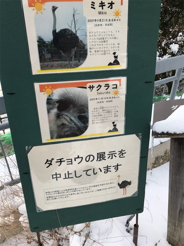 f:id:calico1978:20170412205116j:image