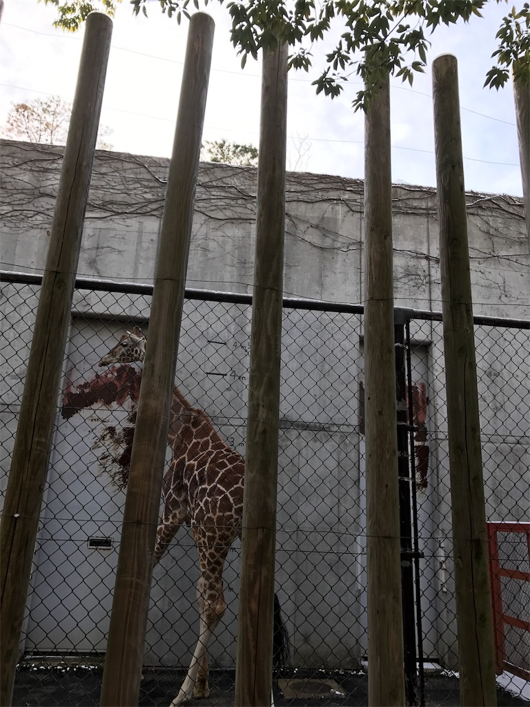 f:id:calico1978:20170412205212j:image