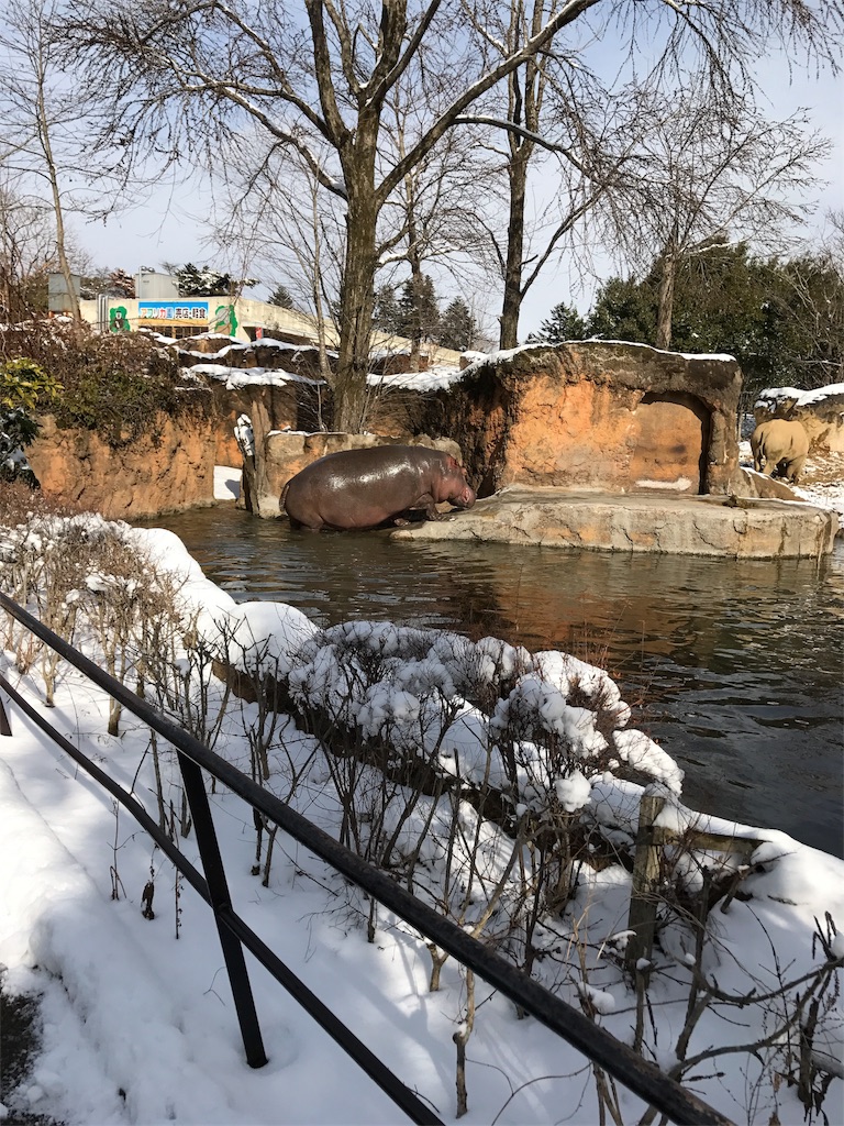 f:id:calico1978:20170412205808j:image