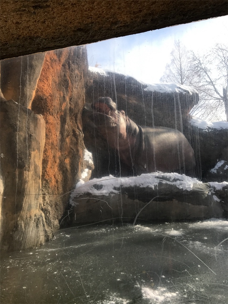 f:id:calico1978:20170412205846j:image