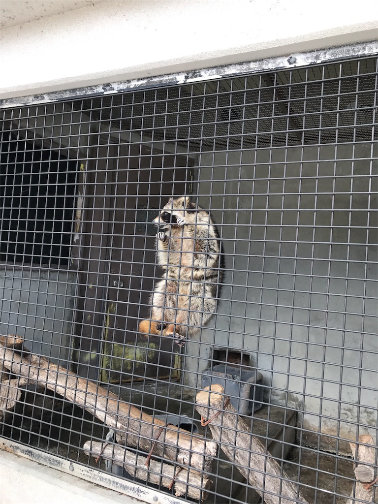 f:id:calico1978:20170413000929j:image