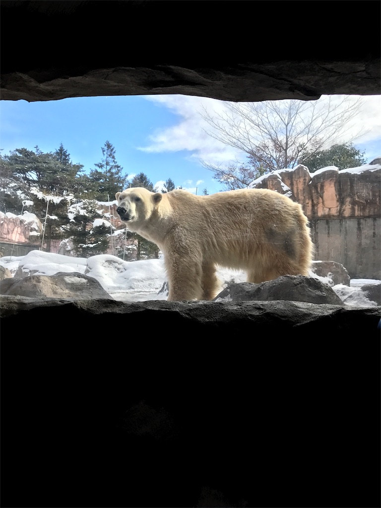 f:id:calico1978:20170424201324j:image f:id:calico1978:20170424201324j:image