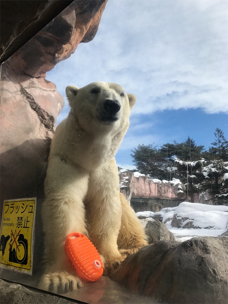 f:id:calico1978:20170424201547j:image f:id:calico1978:20170424201547j:image