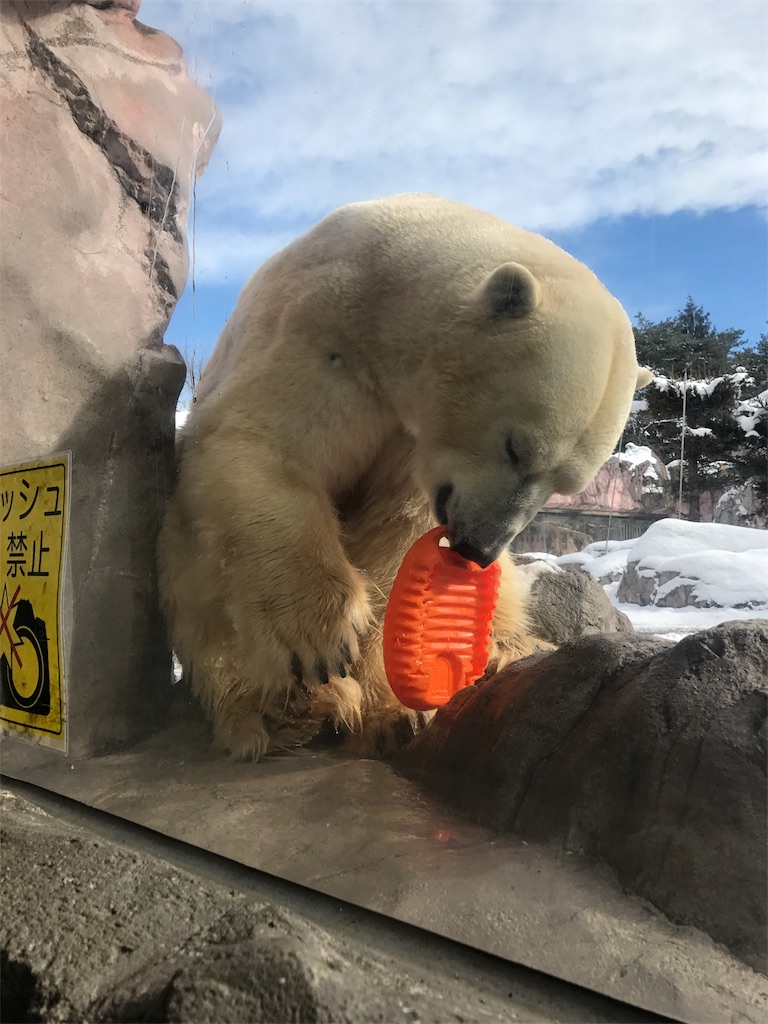 f:id:calico1978:20170424201612j:image f:id:calico1978:20170424201612j:image