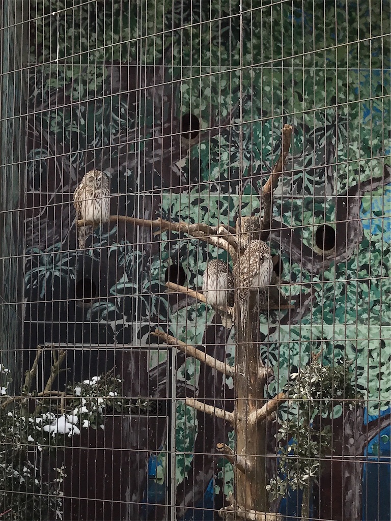 f:id:calico1978:20170424201646j:image f:id:calico1978:20170424201646j:image