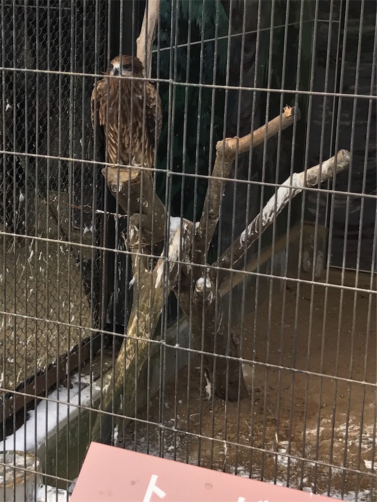 f:id:calico1978:20170424201709j:image f:id:calico1978:20170424201709j:image