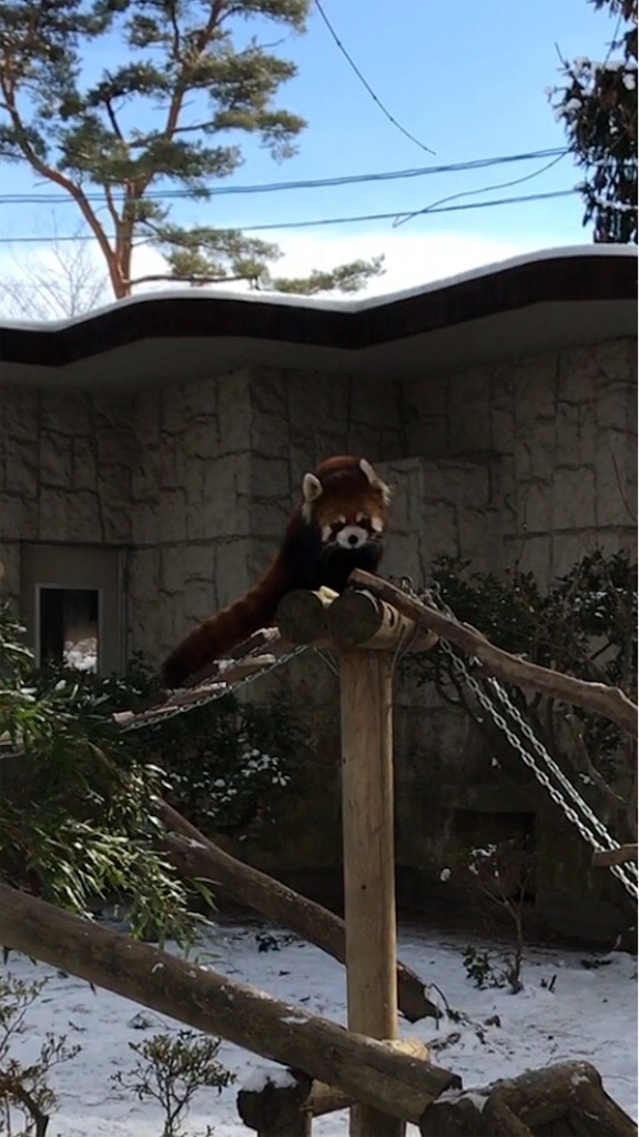 f:id:calico1978:20170424202345j:image f:id:calico1978:20170424202345j:image