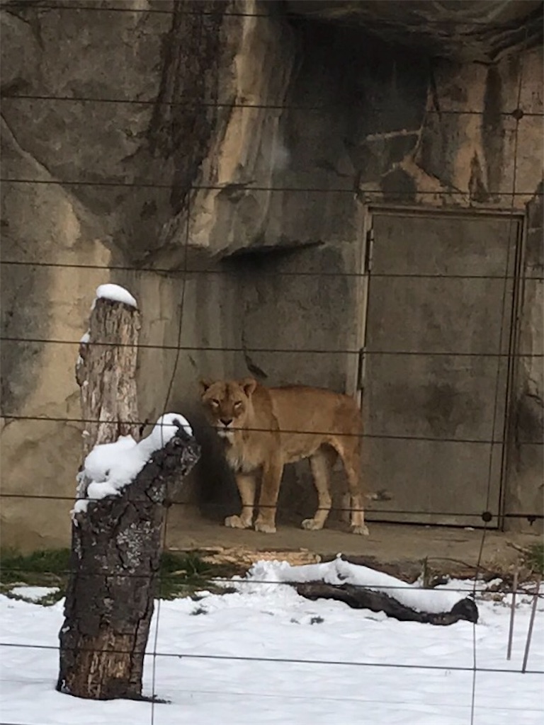 f:id:calico1978:20170424202454j:image f:id:calico1978:20170424202454j:image